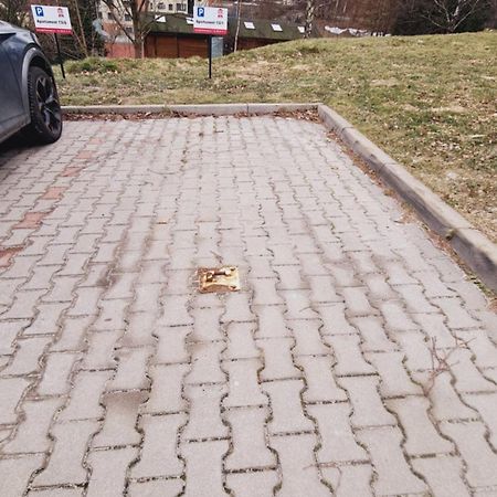 Apartament Everest Z Prywatna Sauna - 5D Apartamenty Сверадув-Здруй Экстерьер фото